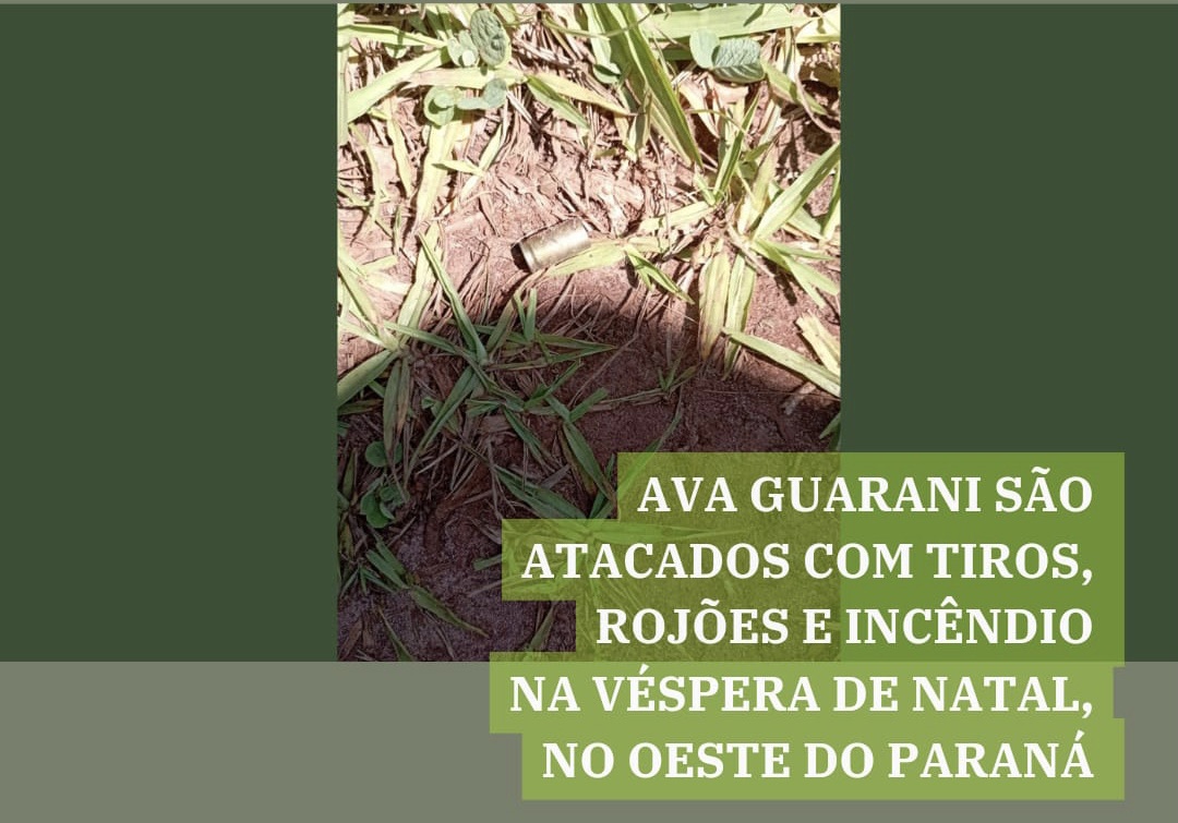 Indígenas Ava Guarani abrem campanha de arrecadação após ataques